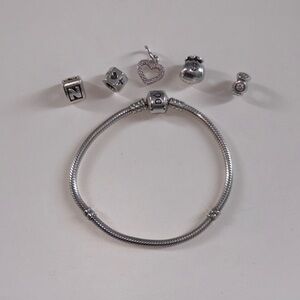 Pandora Charm Bracelet and Charms